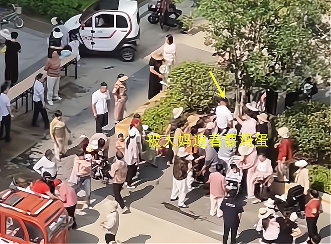 子大妈连盆都端走了还围堵物业要鸡蛋ky开元棋牌山东:小区端午免费包粽(图5) 子大妈连盆都端走了还围堵物业要鸡蛋ky开元棋牌山东:小区端午免费包粽(图5)